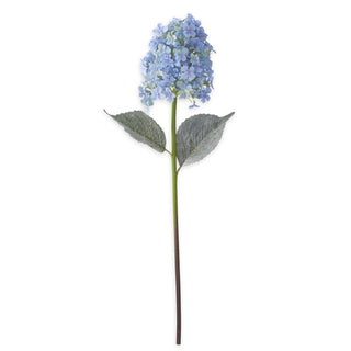 Blue Cone Hydrangea Stem