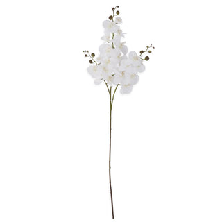 White Orchid Spray
