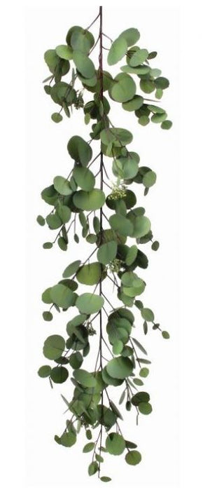 Silver Dollar Eucalyptus Garland
