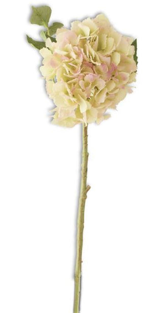 Real Touch Green Hydrangea 20"