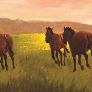 H is for Horse: An Equestrian Alphabet Picture Book