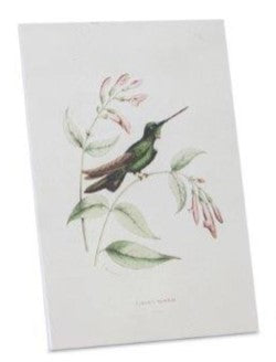 Hummingbird Print Assorted