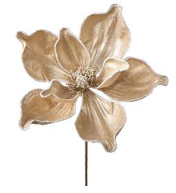 Iced Champagne Magnolia Stem