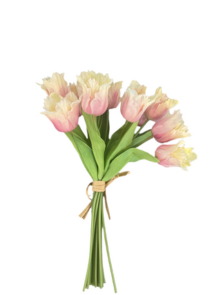 Parrot Tulip x 12 Light Pink