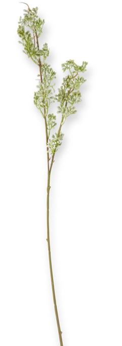 31" Powdered Green Eucalyptus