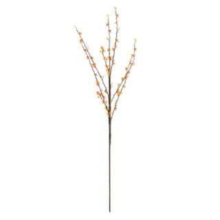 36" Light Orange Bittersweet Stem