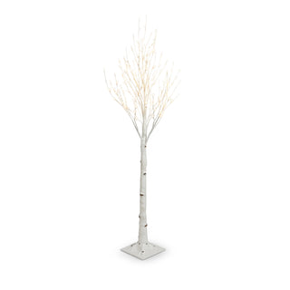 Lighted Birch Tree Assorted