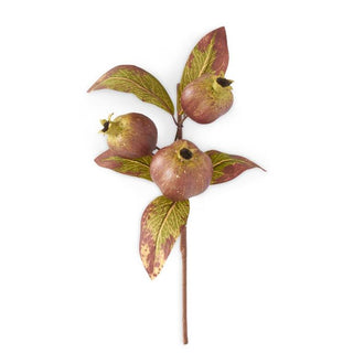 Burgundy & Cream Pomegranate Stem