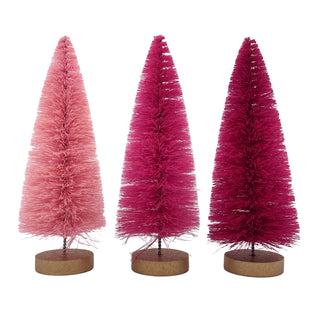 Bottle Brush Tree Assorted