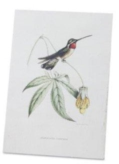 Hummingbird Print Assorted