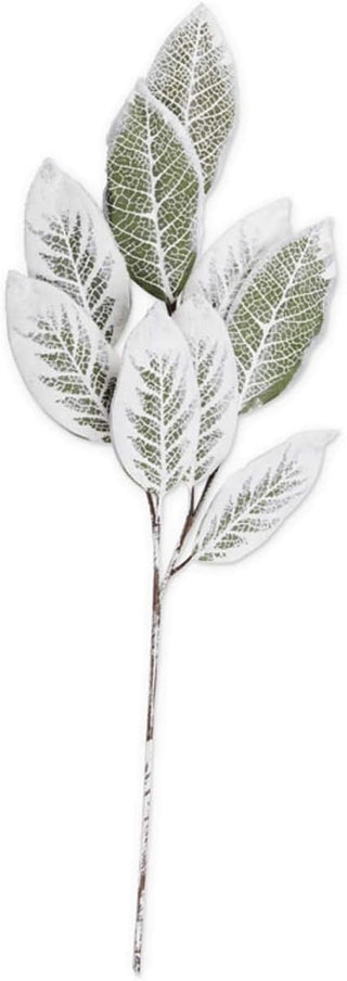 Flocked Magnolia Stem 36"