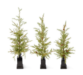 Pine Trees w/Mini Pinecones on Black Resin Spindle in Assorted Sizes