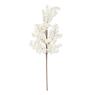 White Berry Cluster Stem
