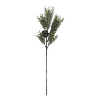Long Needle Pine Stem with Pinecone & Pods