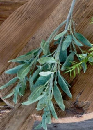 Crafted Sage Stem