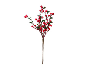 Matte Red Berry Pick 2 15"