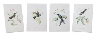 Hummingbird Print Assorted