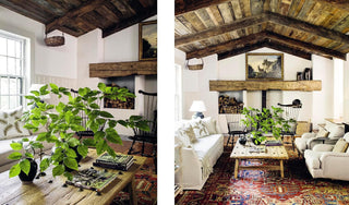 Down to Earth: Laid-back Interiors for Modern Living Book