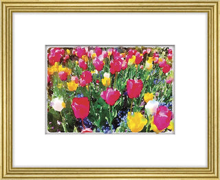 Dutch Delight Framed Art