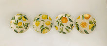Load image into Gallery viewer, Citrus Fruit Plate Assorted
