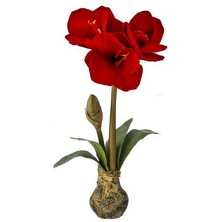 Amarylis Stem with Bulb 21"