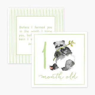A set of milestone cards featuring watercolor illustrations of animals. One card shows a panda with the text '1 month old' and the back of card contains a scripture verse.