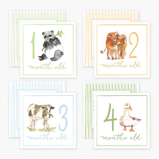 A set of milestone cards featuring watercolor illustrations of animals. One card shows a panda with the text '1 month old' and the back of card contains a scripture verse.