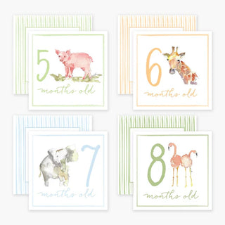 A set of milestone cards featuring watercolor illustrations of animals. One card shows a panda with the text '1 month old' and the back of card contains a scripture verse.