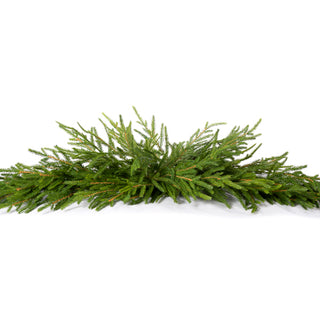 Austrian Pine Swag 52"