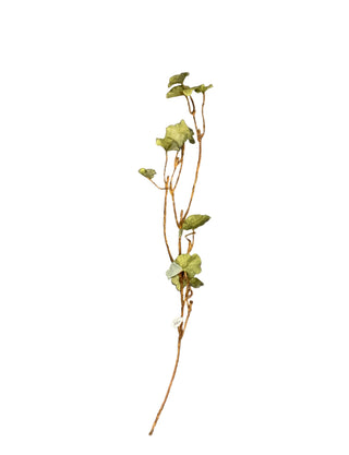 Autumn Geranium Leaf Vine 42" in Green ivy stem