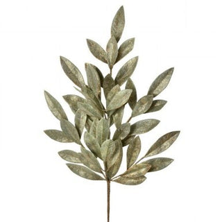 Bay Leaf Spray 24"