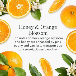 Beekman Honey & Orange Blossom Hand Cream goat milk sulfate & paraben free sensitive skin