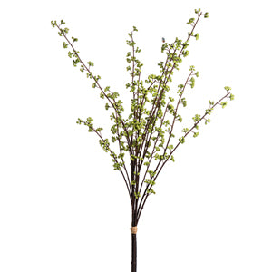 Berry Bundle Light Green