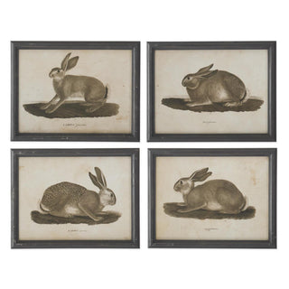Black Wood Framed Rabbit Print Assorted