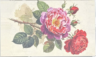 Blooming Roses Matchbox