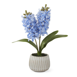 Blue Real Touch Hyacinth in White Ceramic Pot