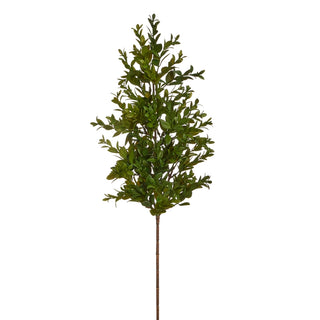 Boxwood Branch 24"