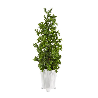 Faux Boxwood topiary 25.5 in in white pot