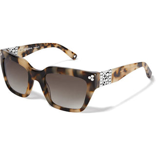 A pair of tortoise-patterned sunglasses with silver dots on the temples and front. Brighton