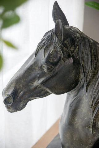 Bronze Horse Head Bust bronze black resin sculpture