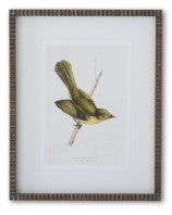 Brown Ribbed Wood Framed Bird Print Assorted
