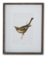 Brown Ribbed Wood Framed Bird Print Assorted