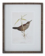 Brown Ribbed Wood Framed Bird Print Assorted
