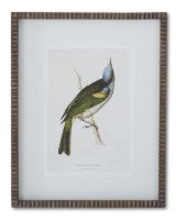 Brown Ribbed Wood Framed Bird Print Assorted