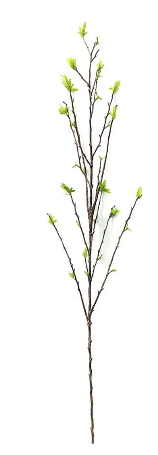 Budding Willow Branch 43" stem tree bush