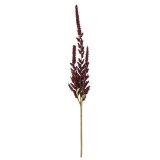Burgundy Amaranthus Stem 37"