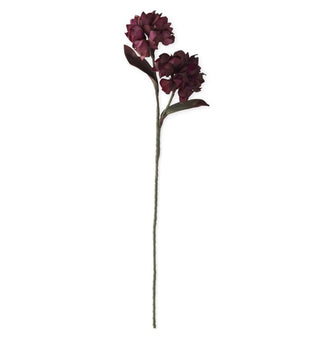 Burgundy Eva Hydrangea 