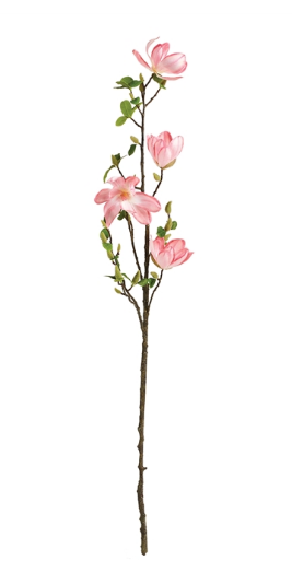 Japanese Magnolia Branch 54