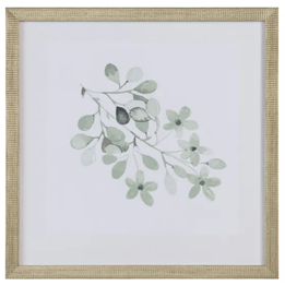 Sage Foliage Artwork Assorted