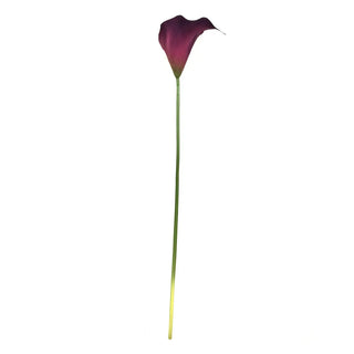Calla Stem in Eggplant 26" purple